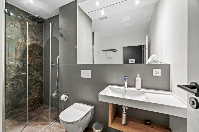 Bathroom 5, Hine Adon Fribourg Nord, La Sarine