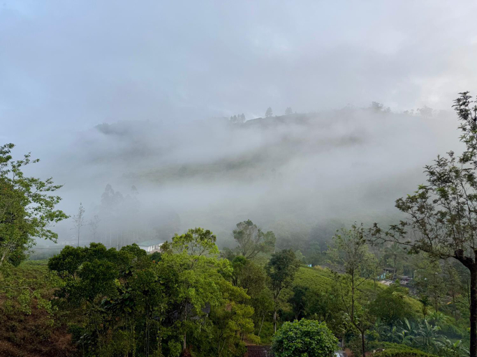 Surrounding environment 5, Watawala Tea Plantation Bungalow, Ambagamuwa