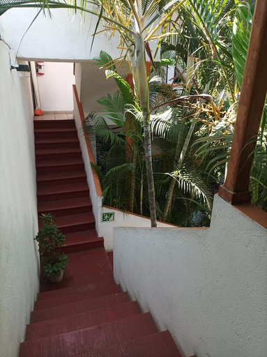Others 5, Hotel Villa Tulipanes, José Azueta