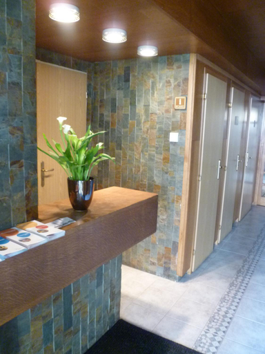 Public Area, Hotel U Apostola, Svitavy