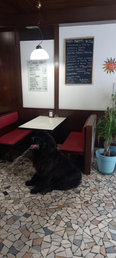 Food & Drinks 3, Stella d'Oro, Belluno