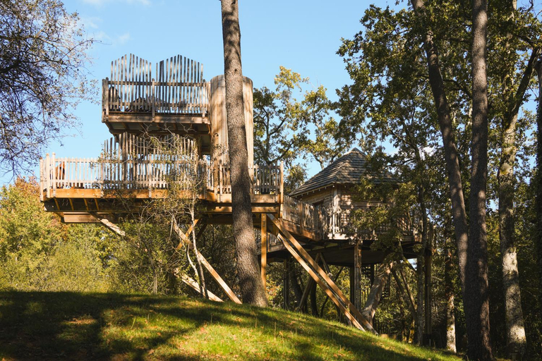 Exterior & Views 1, cabanes perchees dans les arbres, Dordogne
