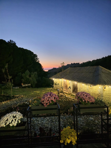 Others 5, TOSKA Farm, Lushnjës