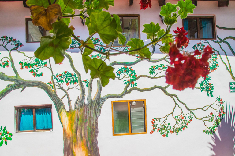 Exterior & Views 2, Tucan Hostel, Cusco