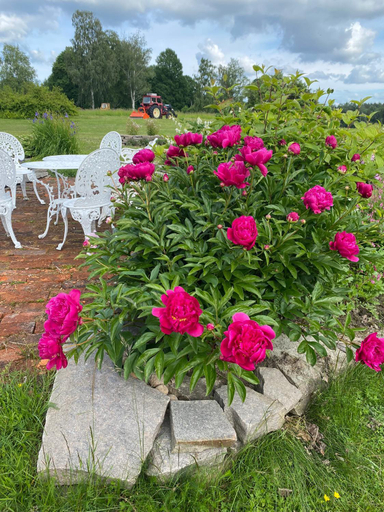Others 3, B&B Kvarntorps Herrgard, Forshaga
