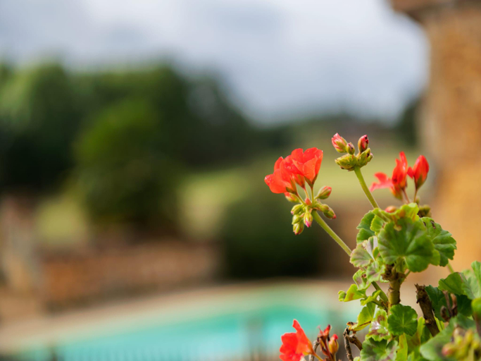 Others 3, Rustic Retreat for Families, Dordogne