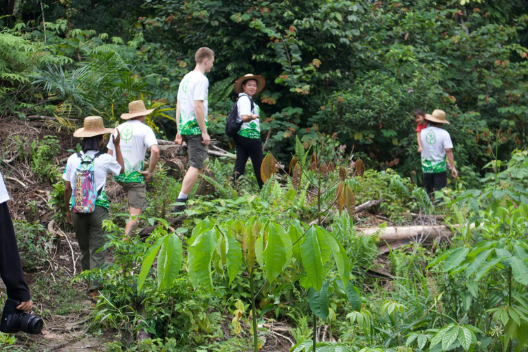 4, Eco Conservation Landak Luxury Tents, Langkat