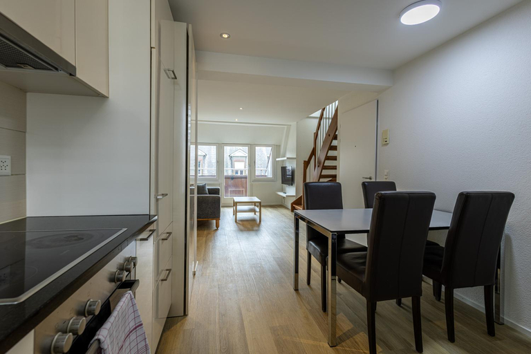 Others 4, Luxury Apartments by Livingdowntown, Zürich