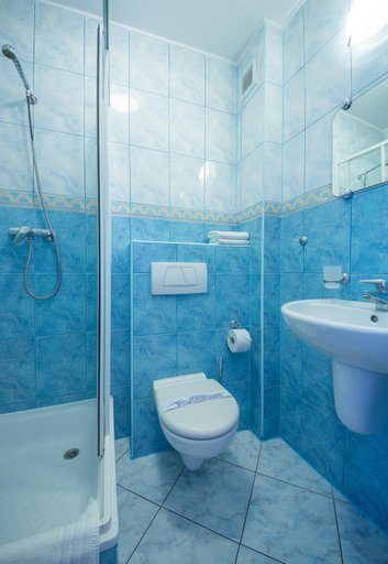 Bathroom 3, ASTRA DZIWNOW Dom Goscinny, Kamień