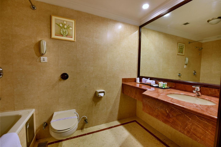 Bathroom 3, Holiday Regency, Moradabad