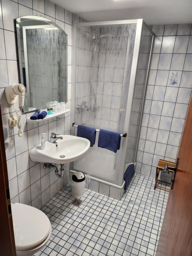 Bathroom 2, Hotel & Restaurant Sonnenhofle, Würzburg