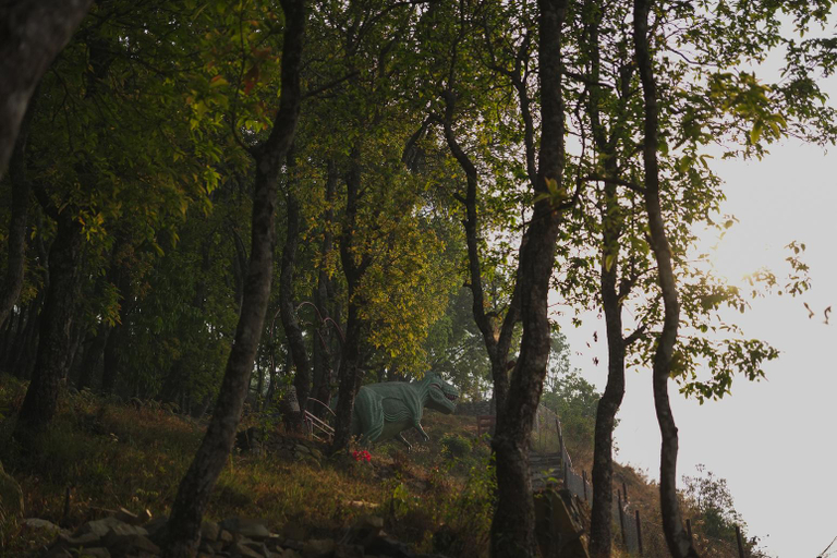 Others 4, Naya Gaun Eco Resort, Gandaki