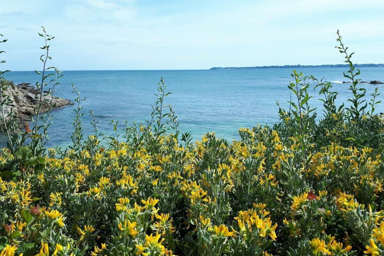 Others 2, Charmant T3 cosy A 2 pas du bourg et des plages, Morbihan