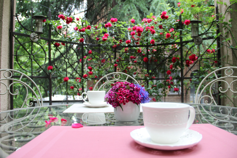 Others 3, ILIANI Hotel, Tbilisi