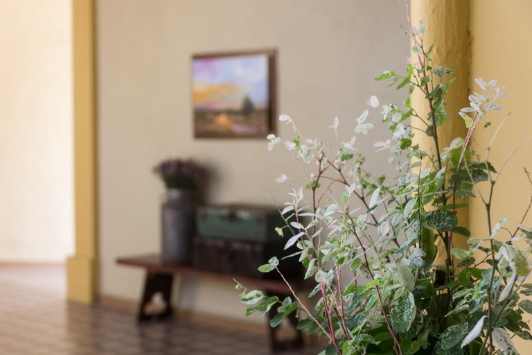 Public Area, Hotel La Casona de Don Jorge, Colima