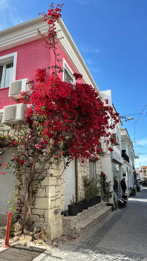 Exterior & Views 2, Viyana Pansiyon, Çeşme