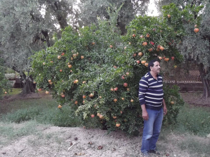 Others 2, LE JARDIN DES GRENADIERS, Ouarzazate