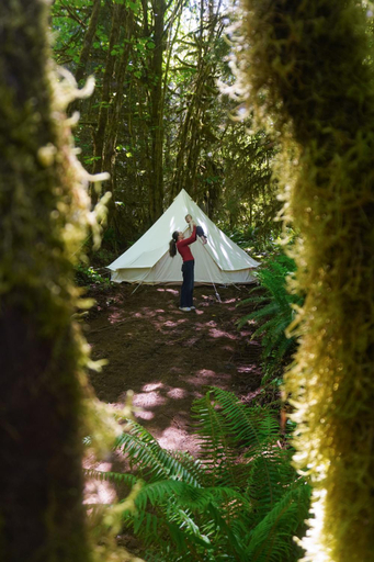 Others 3, Starlight Olympic Glamping, Clallam
