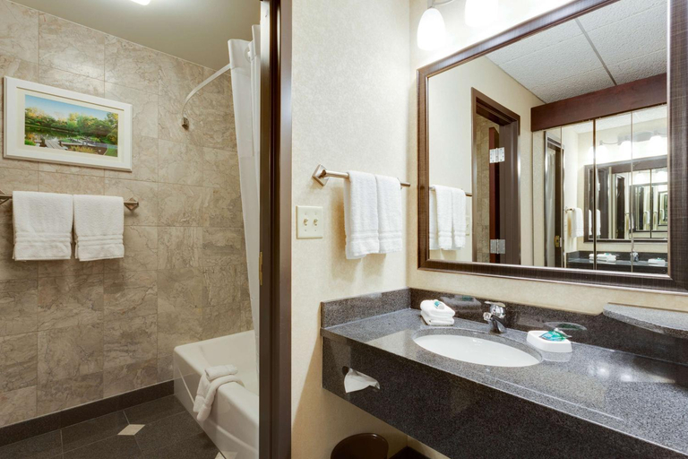 Bathroom 4, Drury Plaza Hotel St. Louis at the Arch, Saint Louis