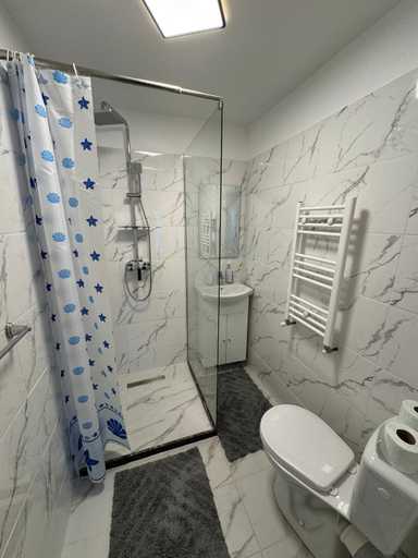 Bathroom 3, Casa Popescu Calimanesti Caciulata, Calimanesti
