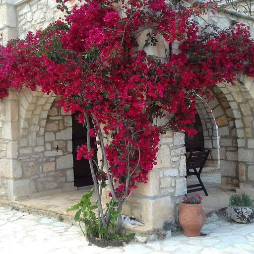 Others 5, Villa Poseidon, Ionian Islands