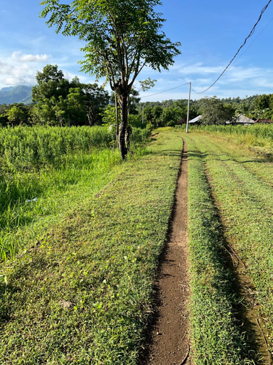 Others 5, Villa Rosa, Karangasem