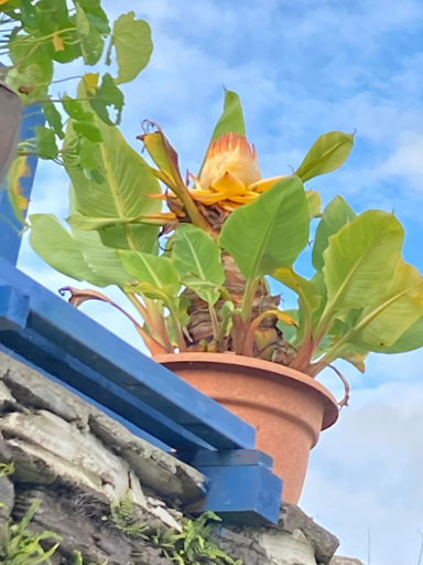Others 5, Kilna BnB, Cornwall