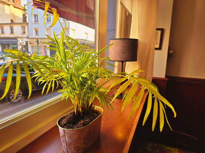 Public Area 3, Hôtel Alexandra, Pas-de-Calais