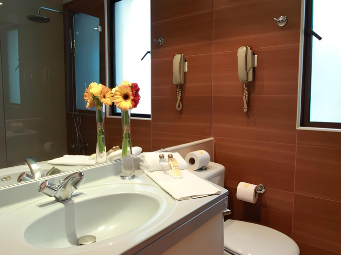 Bathroom 3, Hotel Torremayor Lyon, Santiago