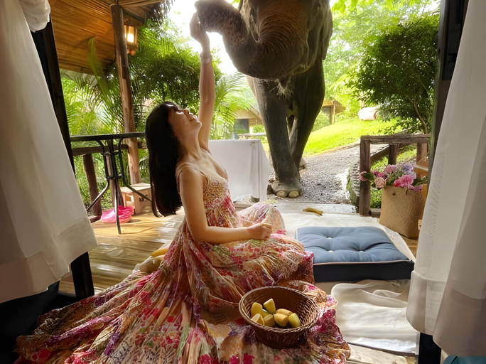 Bedroom, Wakey Camp / Wake With Elephants, Mae Wang