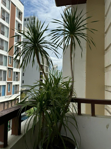 Others 4, Thanh Hien HB Hotel, Da Nang