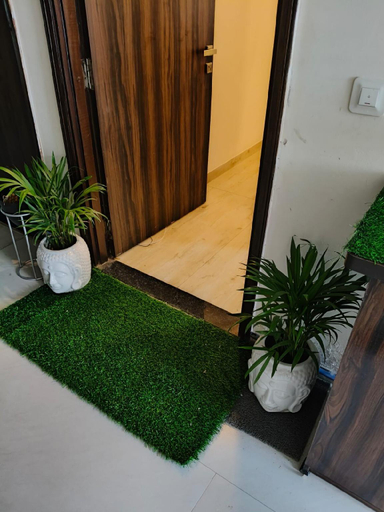 Others 4, Luxury studio apartment, Jaipur