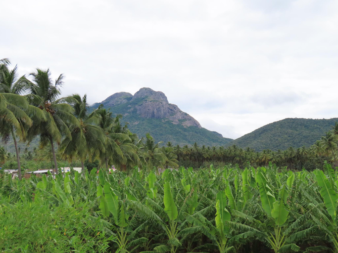 Others 2, Misty Hills Retreat, Coimbatore