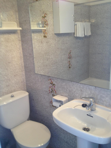 Bathroom 3, Hotel Comodoro, Girona
