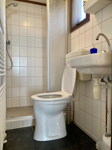 Bathroom 4, Waterfront holiday home sonnenschein 3 persons with sauna, Dongeradeel