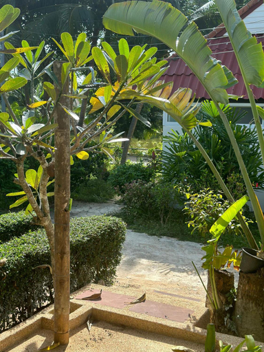 Others 5, Blooming Village by Aforetime, Ko Samui