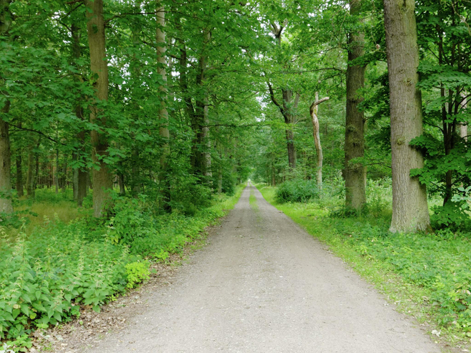 Others 4, Forest Retreat Near Berlin, Oder-Spree