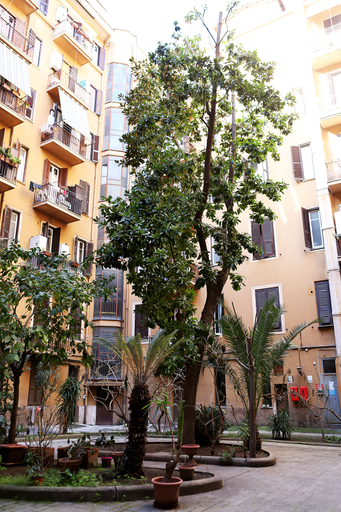 Exterior & Views 2, Imera Rooms, Rome