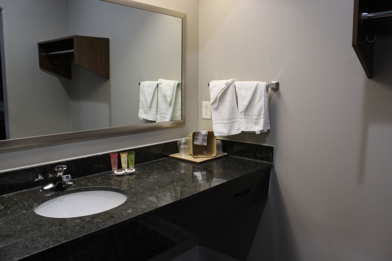 Bathroom 3, パレス イン I10イースト & ジョン ラルストン, Houston