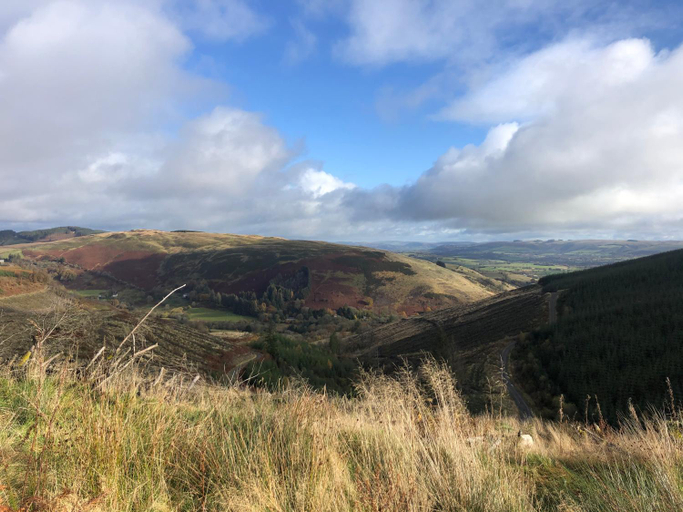 Others 4, Bronfelin & Troed-y-Rhiw Holiday Cottages, Powys