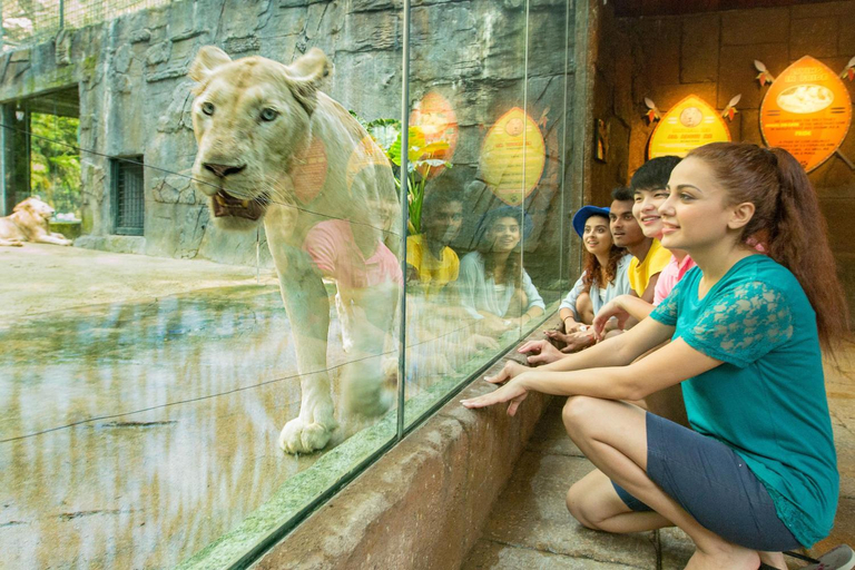 Others 4, Lagoon Villa at Sunway Lagoon Theme Parks, Petaling Jaya