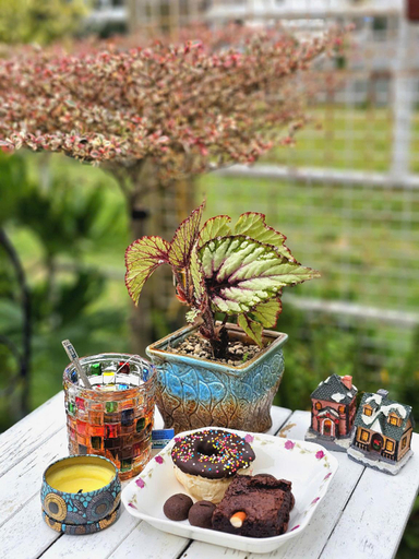 Food & Drinks 5, Miri Da Lat Homestay, Đà Lạt