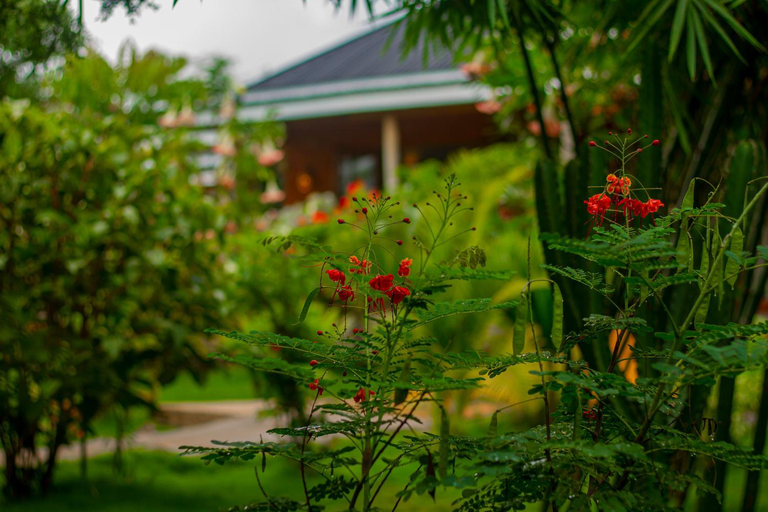 Others 4, Moonbow lodge, Karatu
