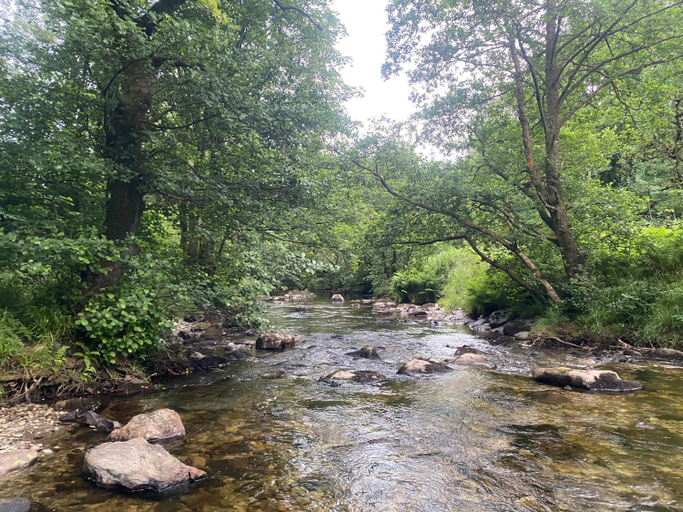 Others 5, Bronfelin & Troed-y-Rhiw Holiday Cottages, Powys