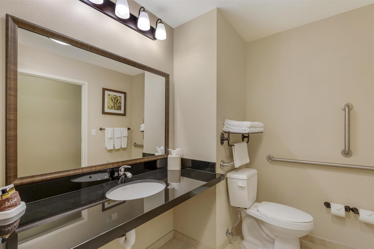 Bathroom 5, Best Western Plus Hudson Hotel & Suites, Weld