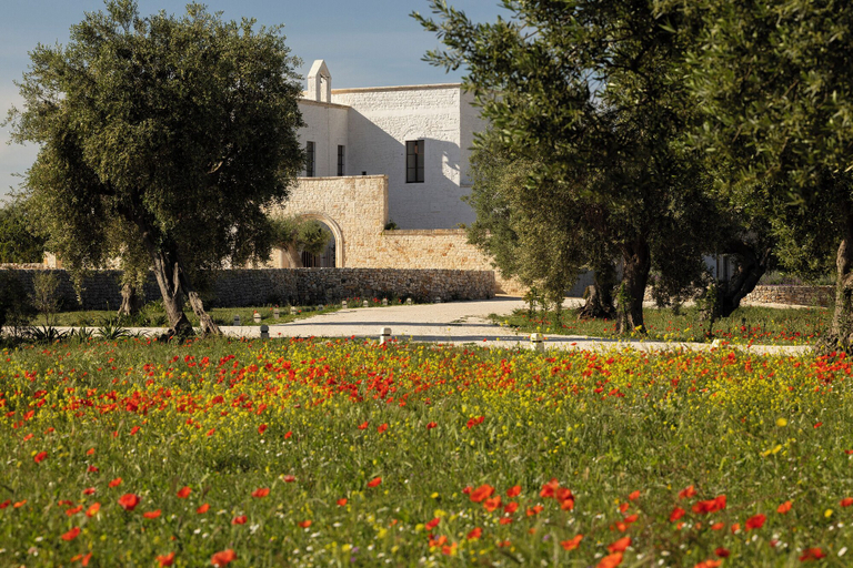 Exterior 3, Masseria Tarsia Morisco, Bari