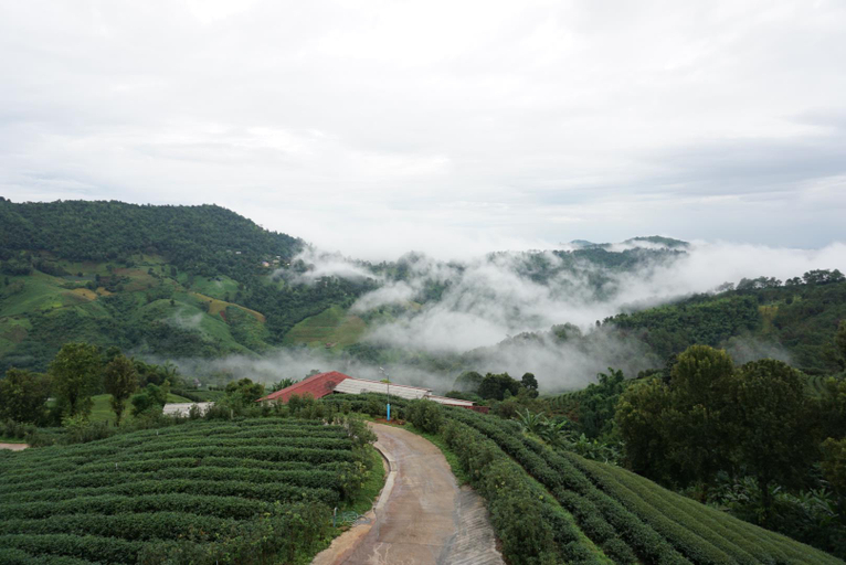 Others 4, 101 Tea Green View, Mae Fa Luang