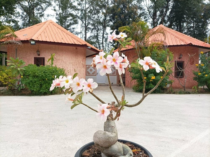Others 5, Vimanmek hotel, Amphoe Muang Yasothon