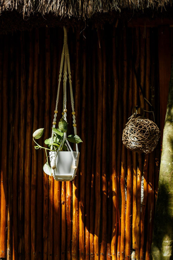 Food & Drinks 4, Eco.Bañitas, Cozumel
