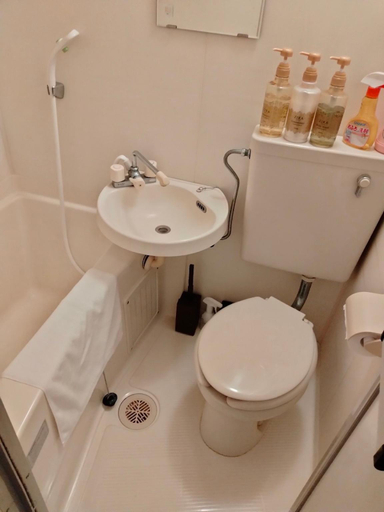 Bathroom 3, EX Shirokitakoen Apartment 809, Osaka